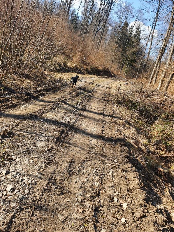 Horska Chata V Srdci Kremnickych Hor Banská Bystrica Eksteriør bilde
