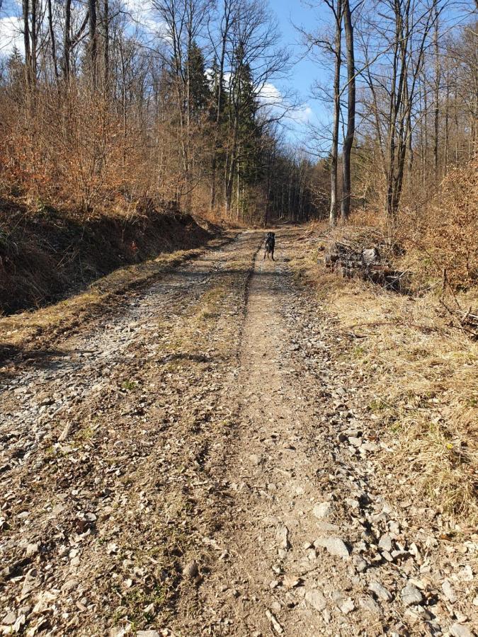 Horska Chata V Srdci Kremnickych Hor Banská Bystrica Eksteriør bilde